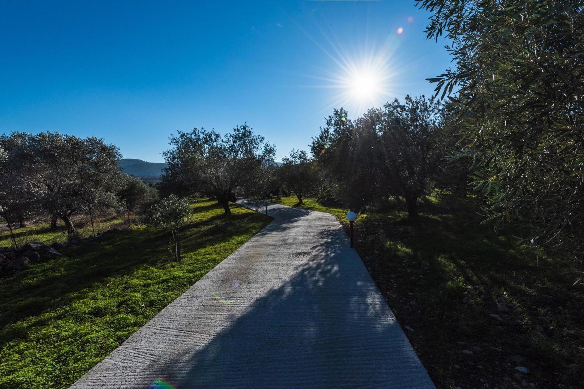 Vila Evgenias Olive House Kalathos Exteriér fotografie